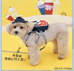 PARISDOG ハーネス・バッグ、帽子、リードの3点セット　韓国のサムネイル