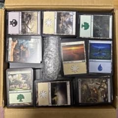MTG 基本土地 通常 フルアート 平地 島 沼 山 森 日本語 英語 まとめ