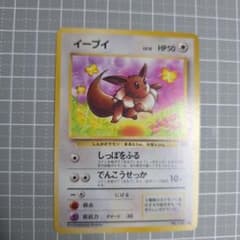 イーブイ ○ 第2弾拡張パック ポケモンジャングル 旧裏 ポケカ - メルカリ