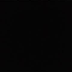 専用です。のサムネイル