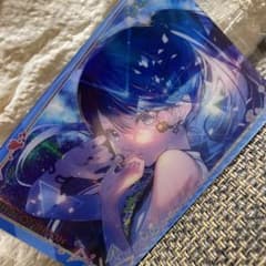 m70256045251_1.jpg?1751626566