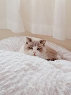 もぐ様専用のサムネイル