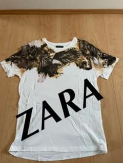 ZARAメンズ　Tシャツのサムネイル