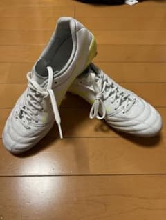 asics DS light x-flyのサムネイル
