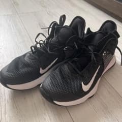 NIKE バッシュ　レブロンウィットネス　27センチ　箱無しのサムネイル