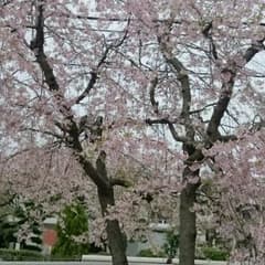値段交渉歓迎

！さん専用のサムネイル