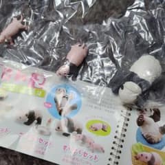 子パンダ日和 すくすくセットのサムネイル