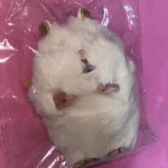 【新品未開封】はむにぎり　おもち　りぶはあとのサムネイル