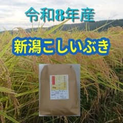 令和8年 新潟産 こしいぶき 玄米10kgのサムネイル