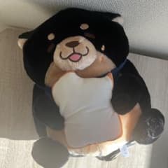 忠犬もちしば　もぐもぐパンぬいぐるみ　BIG 柴犬　黒柴