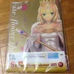 Fateシリーズ 10周年記念第1弾 S賞 画集のサムネイル