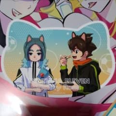 イナズマイレブン ナンジャタウン 円堂ハル 笹波雲明 ねこ型イラスト