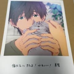 匿名配送】劇場版Free！ 夢 京アニ限定特典 大判イラストカード 橘真琴