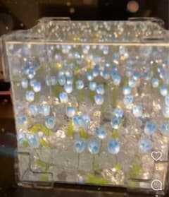可愛いブレゼント　チューリップライトのサムネイル