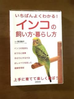 インコの飼い方暮らし方のサムネイル