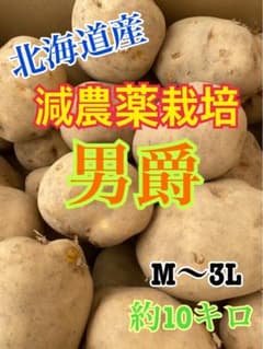 32 減農薬栽培　北海道産　じゃがいも　男爵　約10キロのサムネイル