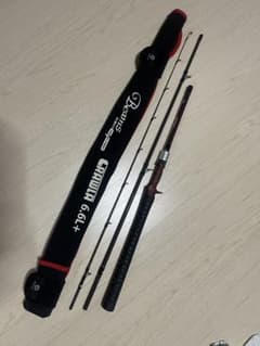 フィッシュマン Beams CRAWLA 6.6L+のサムネイル