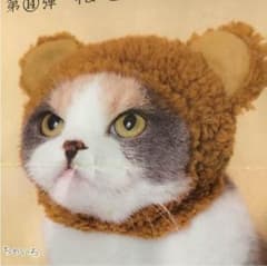 ねこくまちゃん ガチャガチャのサムネイル