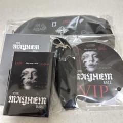 LADY GAGA VIP SILVER 記念グッズ - メルカリ