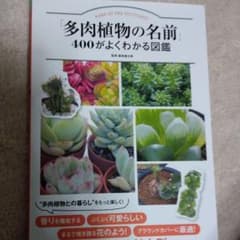 「多肉植物の名前」400がよくわかる図鑑のサムネイル