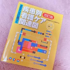 エビデンスに基づく疾患別看護ケア関連図のサムネイル