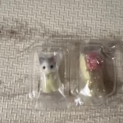 シルバニアファミリー赤ちゃん妖精の森のなかまたちシリーズラテネコの小さい赤ちゃんのサムネイル