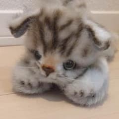 コモルン様専用＊猫 ぬいぐるみの三英のサムネイル