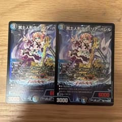 冥土人形ヴァミリアバレル 2枚セット - メルカリ