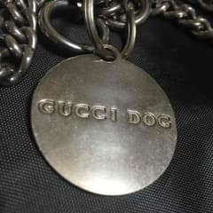GUCCI DOGのサムネイル