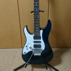 SCHECTER
SE-2-24-BW/IR/left hand (BLU)のサムネイル