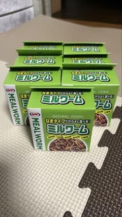 ミルワーム 7個セット 賞味期限2027年2月のサムネイル