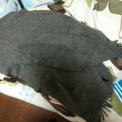 マフラーのサムネイル