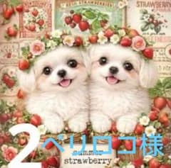 オーダーページ ハンカチ169りんご様パネル わんこ柄 ハンドメイド4/22 
