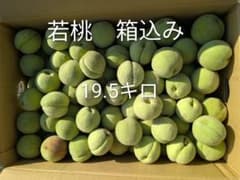 若桃 箱込み19.5kg - メルカリ