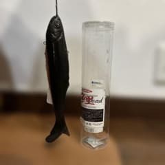 シグナル　カープヘッド　ウグイカラーのサムネイル