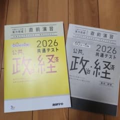 ★新品未使用★2026　共通テスト　直前演習　公共　政治　経済のサムネイル