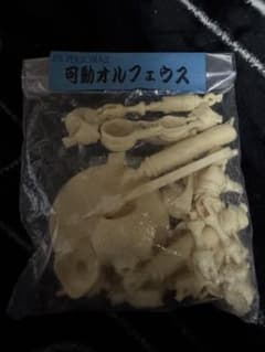 ペルソナ3 ガレージキット　オルフェウス ペルソナ3 ガレージキット オルフェウス ペルソナ3 リロード』より