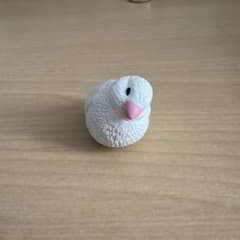 きょとん。 文鳥のサムネイル