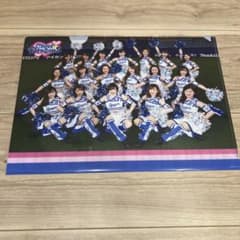 中日ドラゴンズ チアドラ アクリルスタンド クリアファイル 中日ドラゴンズ チアドラ アクリルスタンド クリアファイル 中日