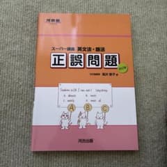 スーパー講義 英文法・語法 正誤問題のサムネイル