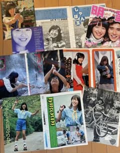 希少品】岩崎宏美 雑誌切り抜き 18p分 - メルカリ