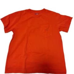 THE NORTH FACE PURPLE LABEL 7oz Pocket T