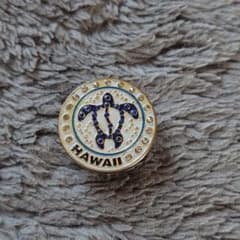 リアワイパーキャップ 亀 おしゃれ アクセサリー プレゼントのサムネイル