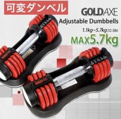 GOLDAXE 可変式ダンベル 2個セット アジャスタブルダンベル - メルカリ