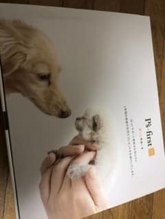 ももかさま専用　犬用キャリーバック【新品】のサムネイル