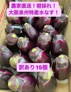 本日特価！大阪泉州水なす訳あり15個！のサムネイル