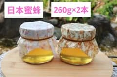 プレゼント　日本蜜蜂　はちみつ　かわいい　260g　2本 ラッピングのサムネイル