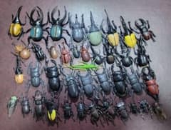 昆虫 フィギュア 大量セット カブトムシ クワガタのサムネイル