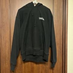 STUSSY × DEVIATION LEVELS HOODIE コラボのサムネイル