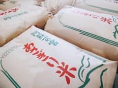 玄米24kg】令和7年熊本県産 阿蘇コシヒカリ - メルカリ